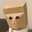 Anonymous Cat · zcat