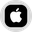 Apple (Ondo Tokenized Stock) · aaplon