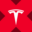 Tesla xStock · tslax