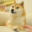 The Doge NFT · DOG